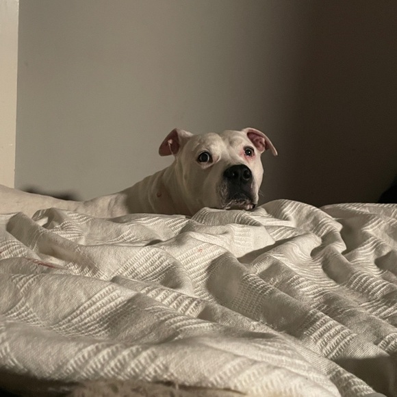 Hey yall!  HUGE VARIETY SIZES AND STYLES! accepting sunny fair offer s!!!! - Picture 12 of 15